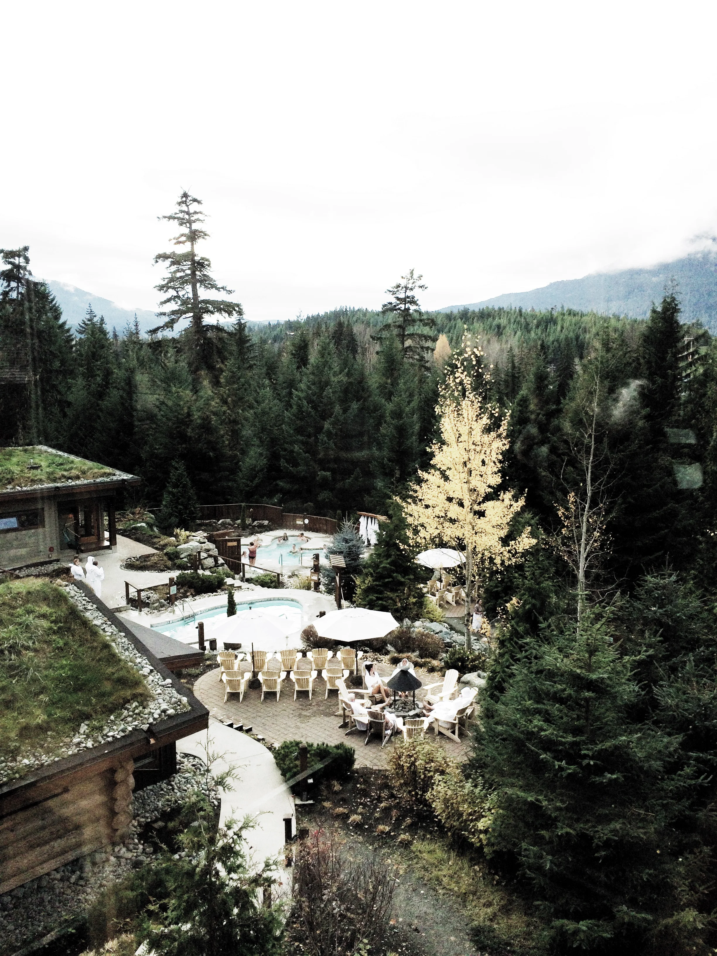 Our last visit to Scandinave