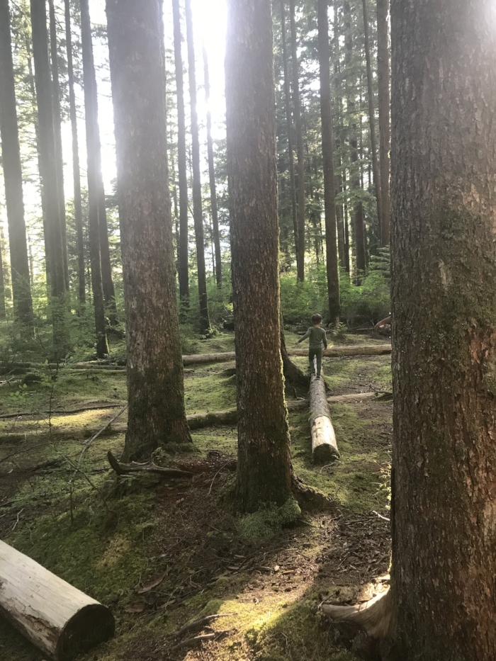 My Wildling in his natural habitat. Camping in a Westfalia with a baby and a toddler
