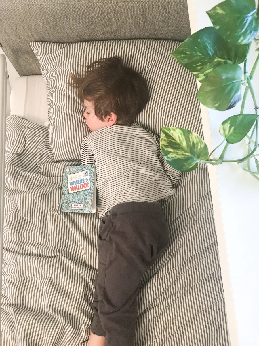One of Theo's 5 naps in the last year had to be documented....