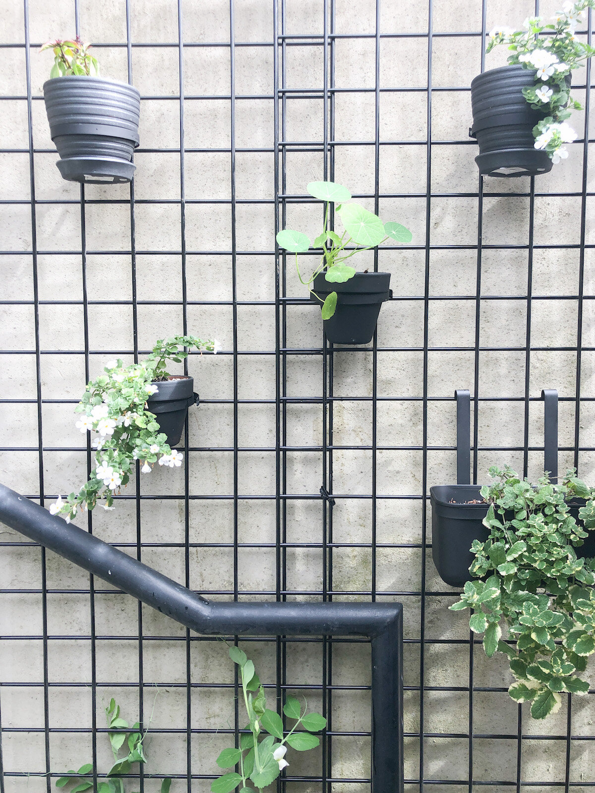 Gallery DIY Outdoor Grid Planter Wall for a Small Patio — 20sqftandababy is free HD wallpaper.
