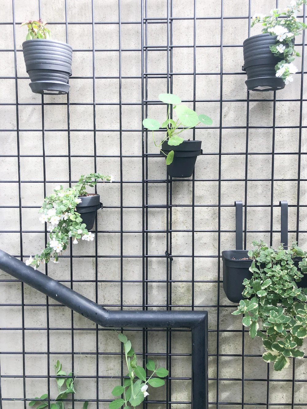 living wall patio screening on Diy Outdoor Grid Planter Wall For A Small Patio 600sqftandababy