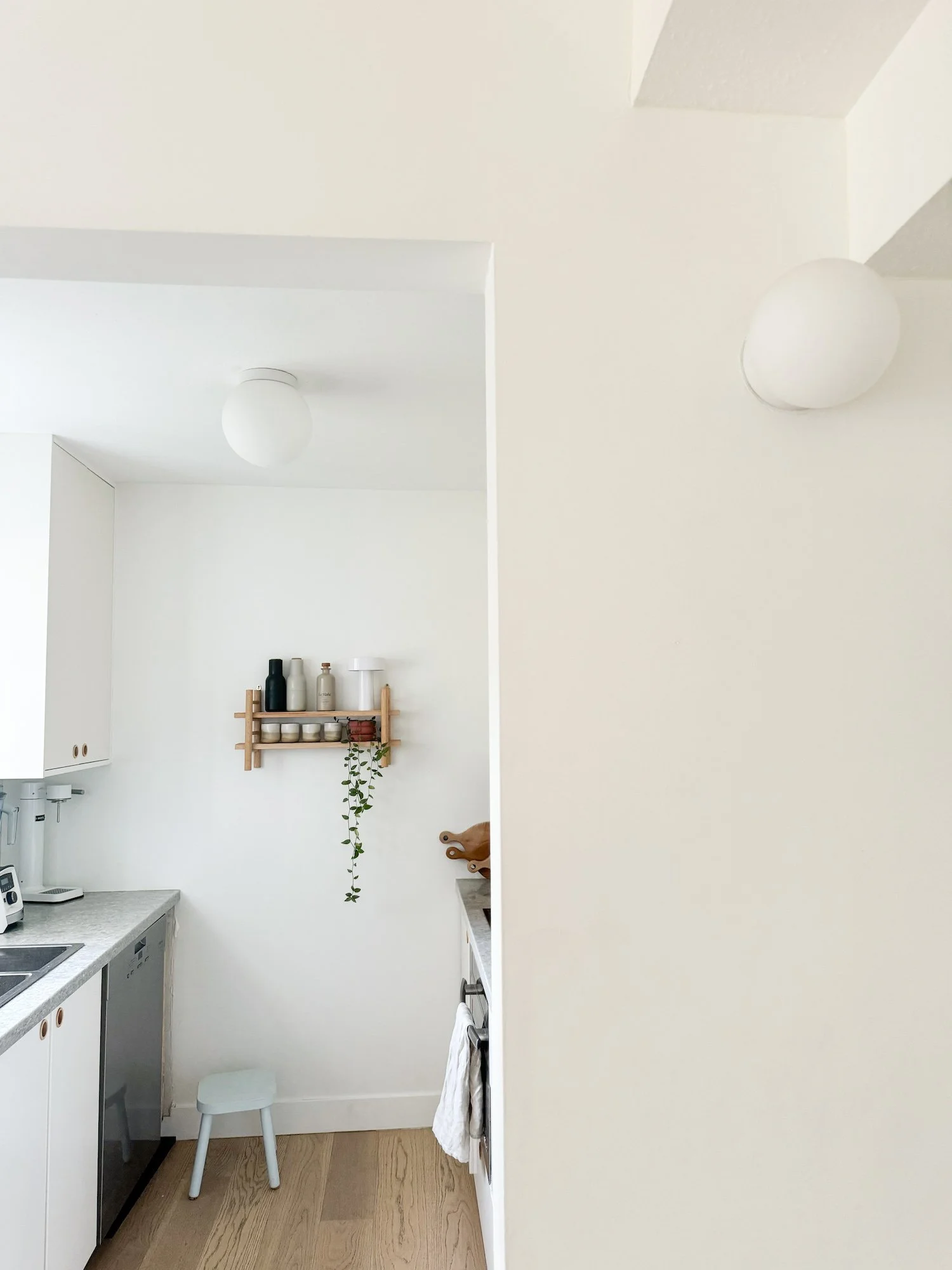 Groceries in a Small Kitchen