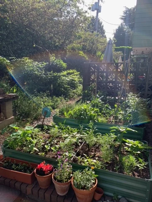 Reader Shared City Gardens — 600sqftandababy