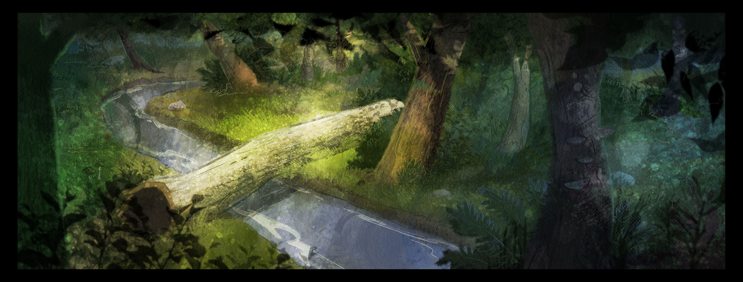 BDS_009_002_ExtForestX_color-Recovered copy.jpg