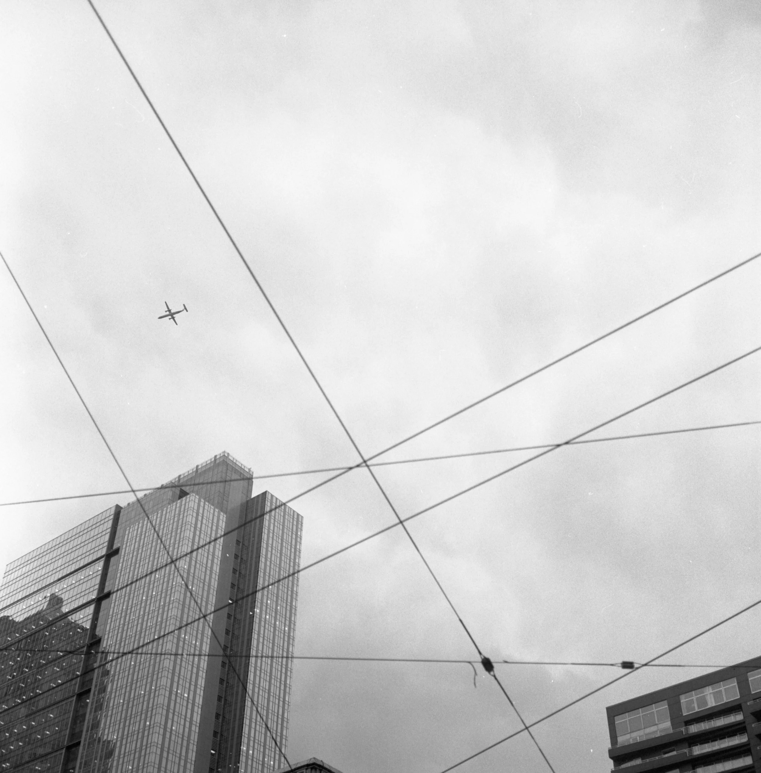 kodak tri-x608.jpg