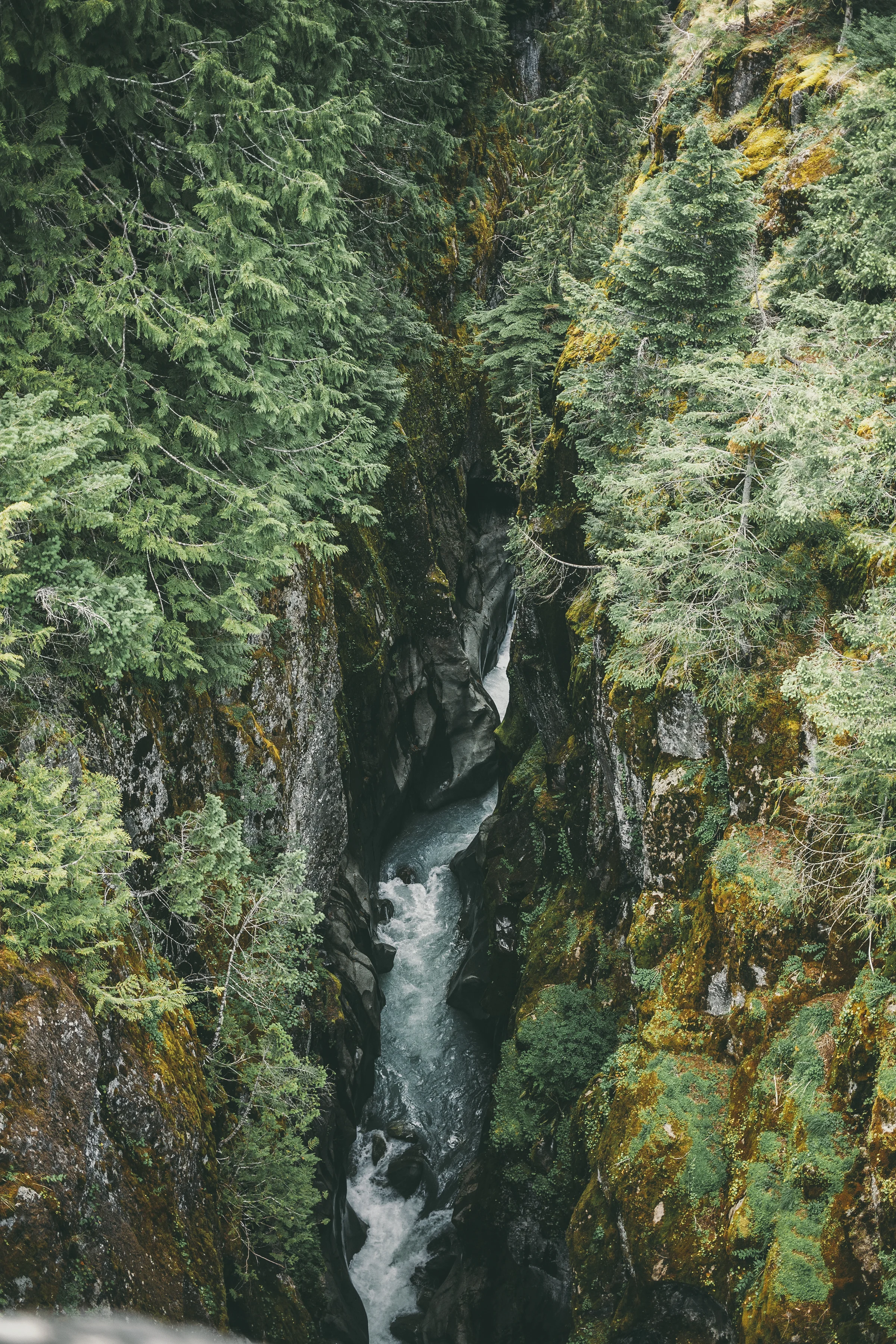 _MG_1749.jpg
