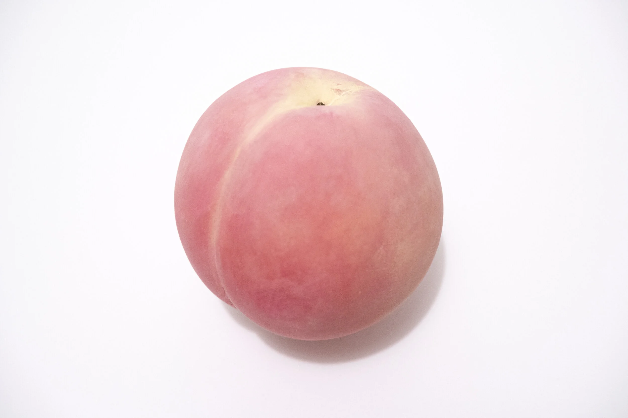 Sculpture Garden - 6a.jpg