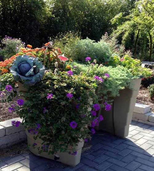 wheelchair+accessible+sensory-butterfly-garden-activities-for-kids-and-adults-in-schools-and-assited-living-homes.jpg