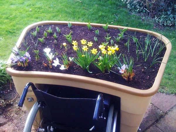 Wheelchair-raised-garden-bed-for-Horticultural-therapy-in-senior-assisted-living-and-children-in-special-education..jpg