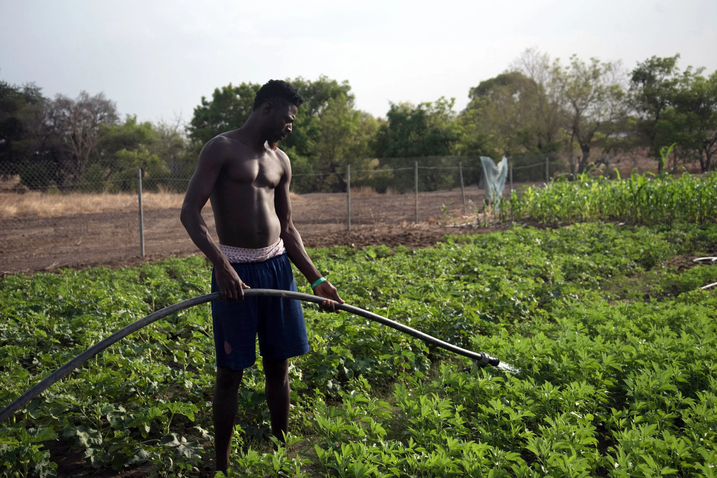 "Not Want, But Need": Farmer-led irrigation in Ghana