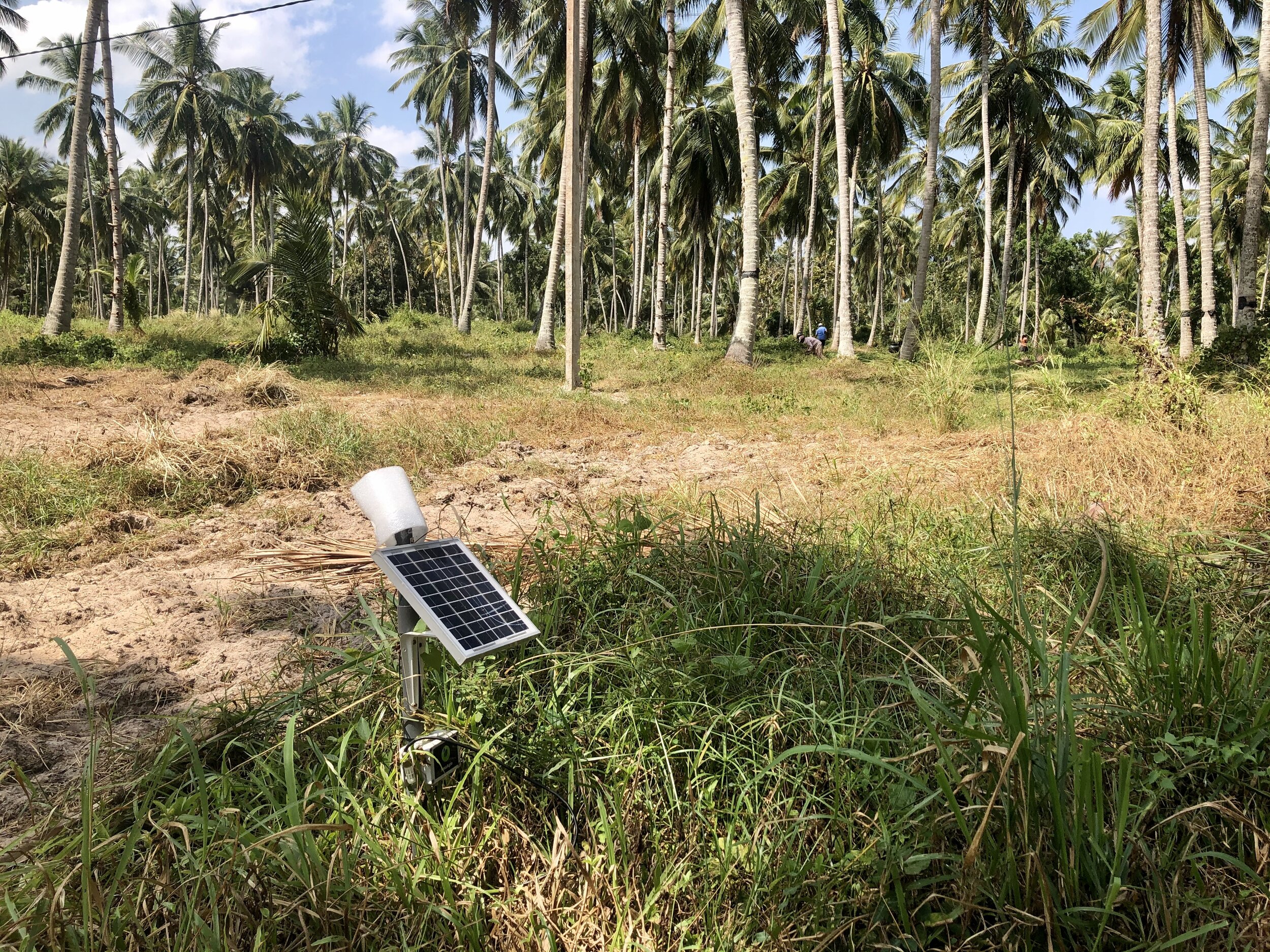 SenzAgro field site, Nattandiya