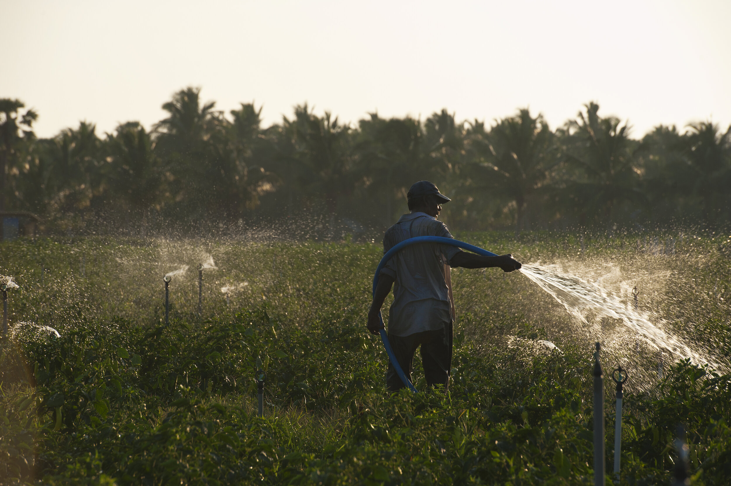 Food System Vision Prize