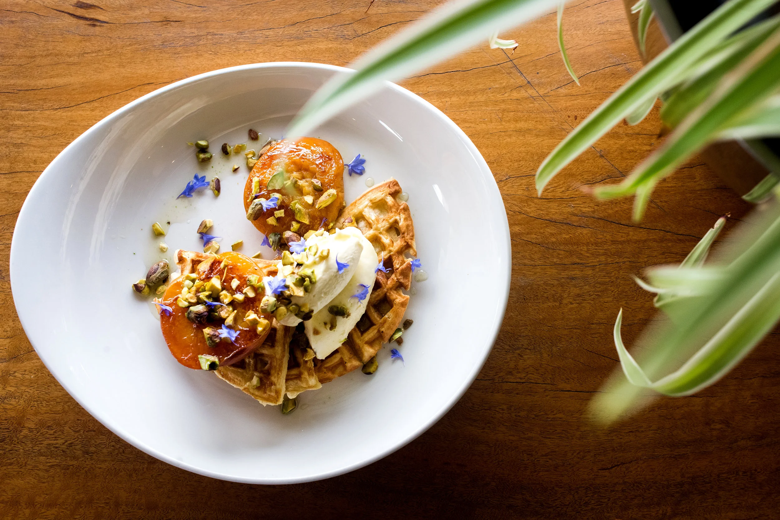 Shortround_SummerMenu2019-8527.jpg
