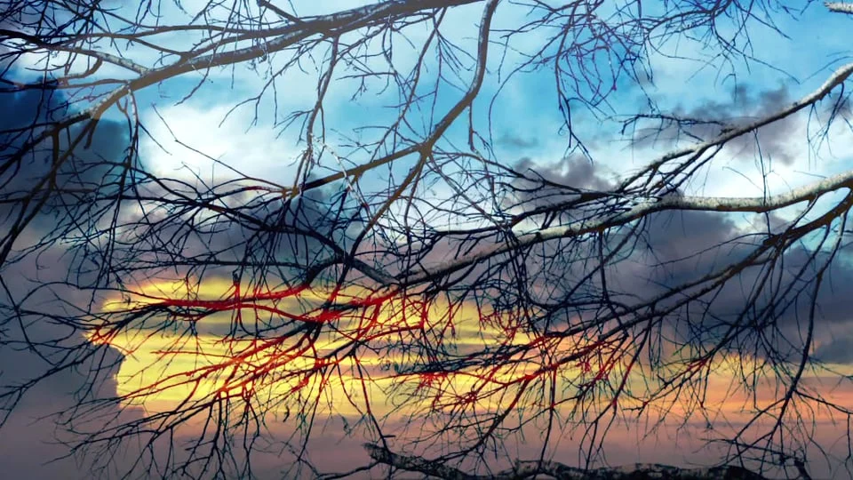 'Mokuy' Dance Projections