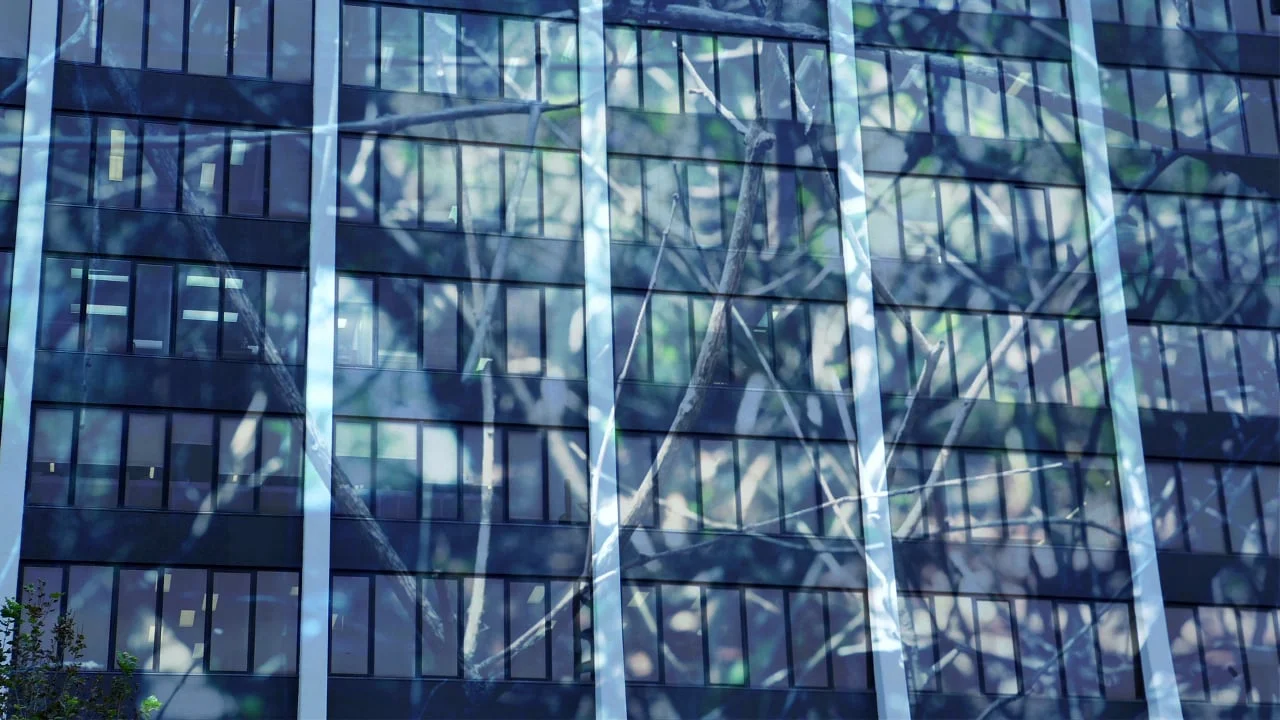 Bright Lights Big City- East Journey