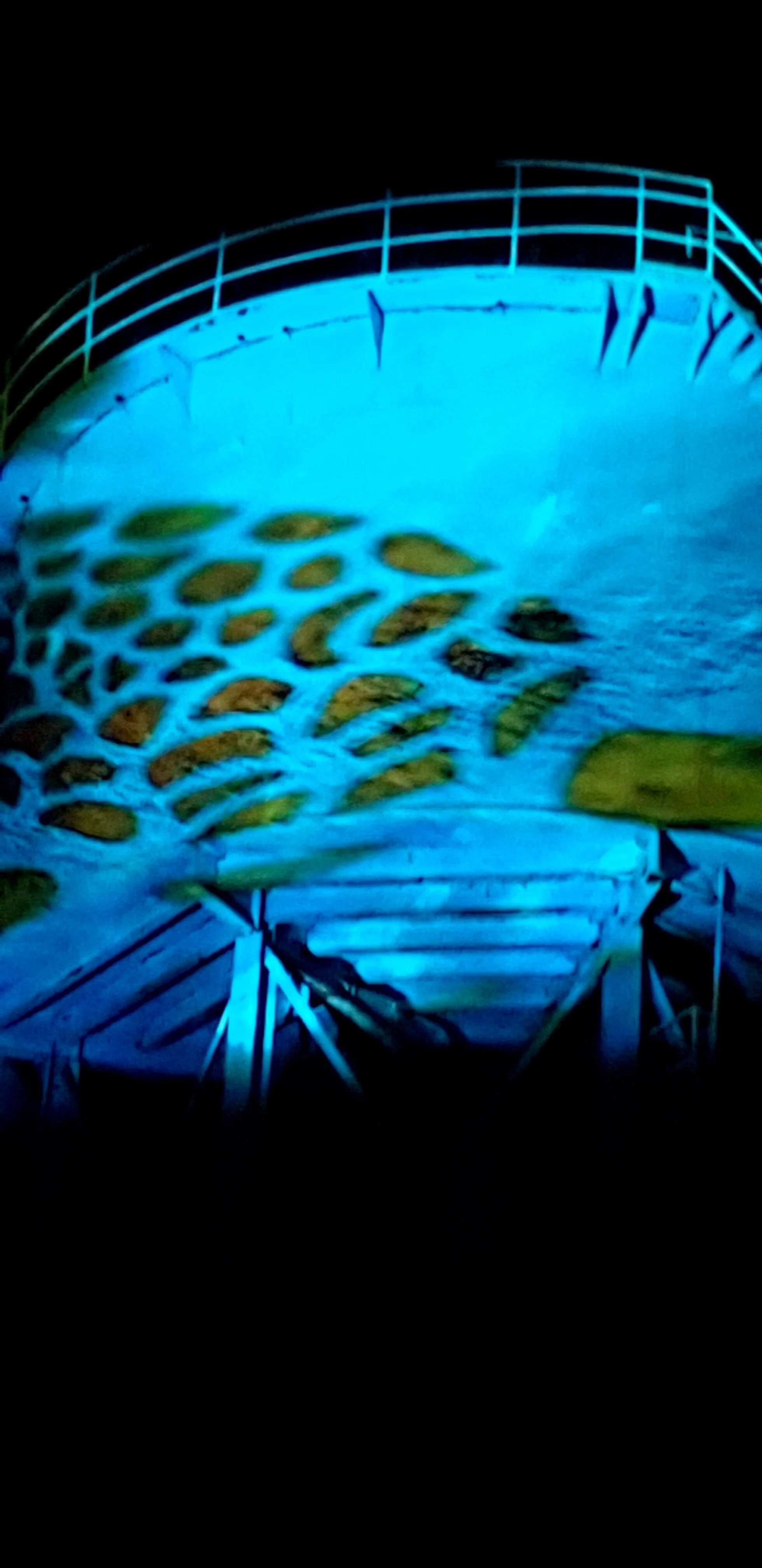 20210825_203928.jpg