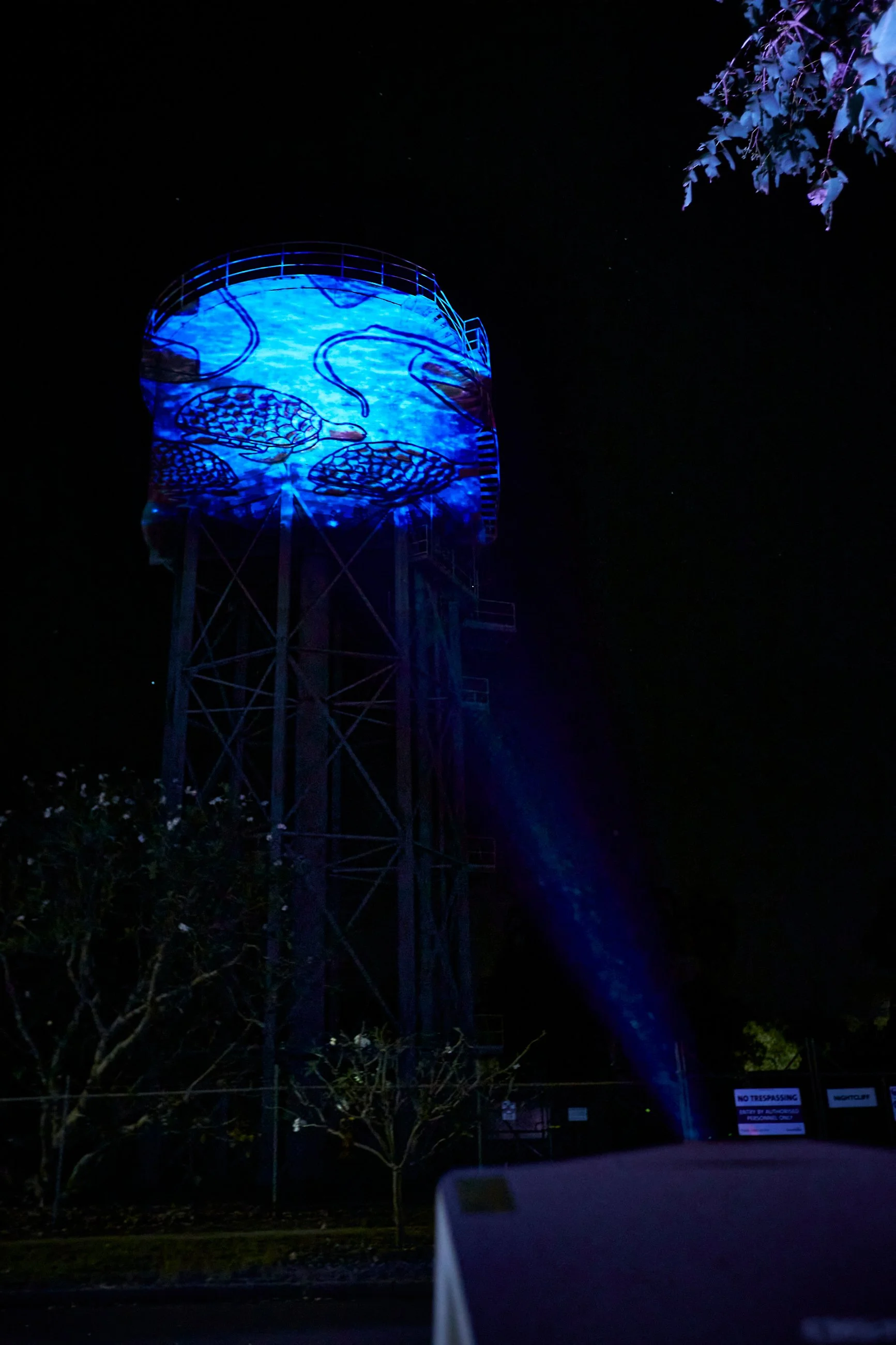040-NTFF-25-08-21.jpg