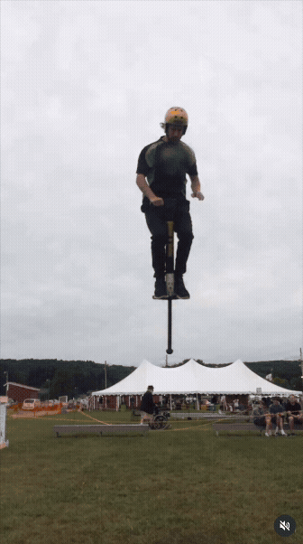 pogo.gif