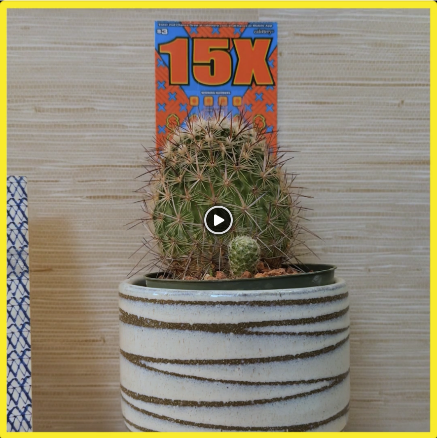 CA Lottery, _Cactus_.png