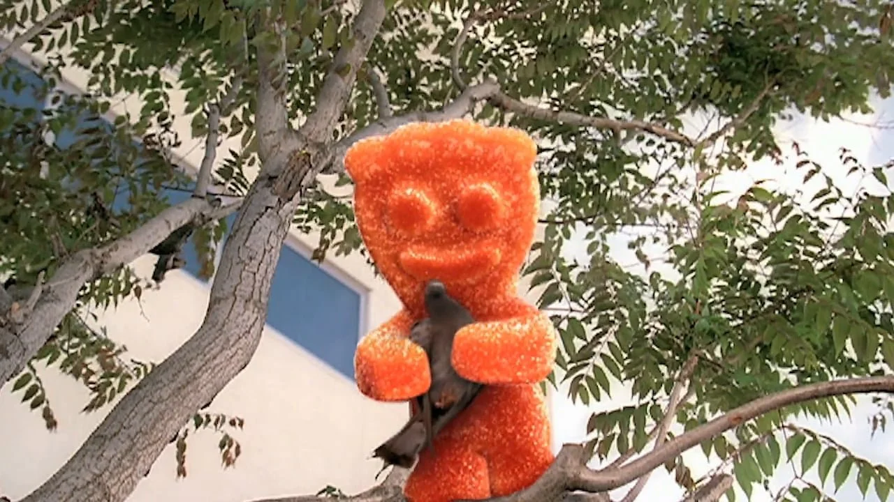 Sour Patch Kids - "Pigeon"