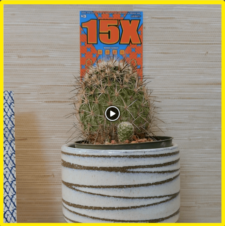 CA Lottery, _Cactus_.png