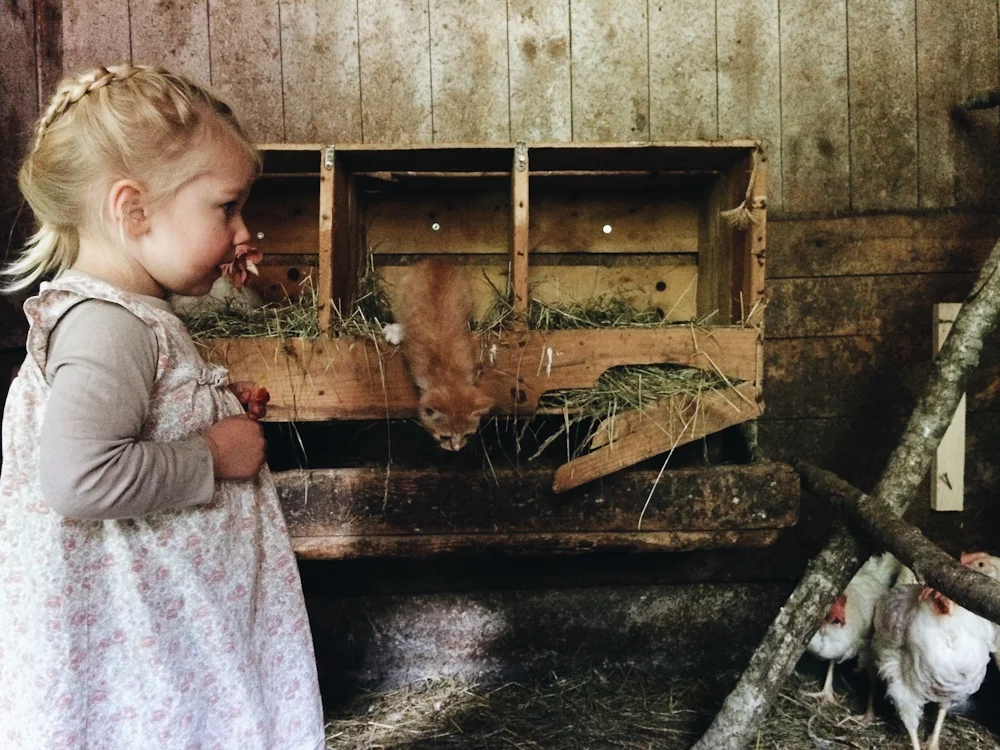 Foto: Rikke/myscandinaviantribe