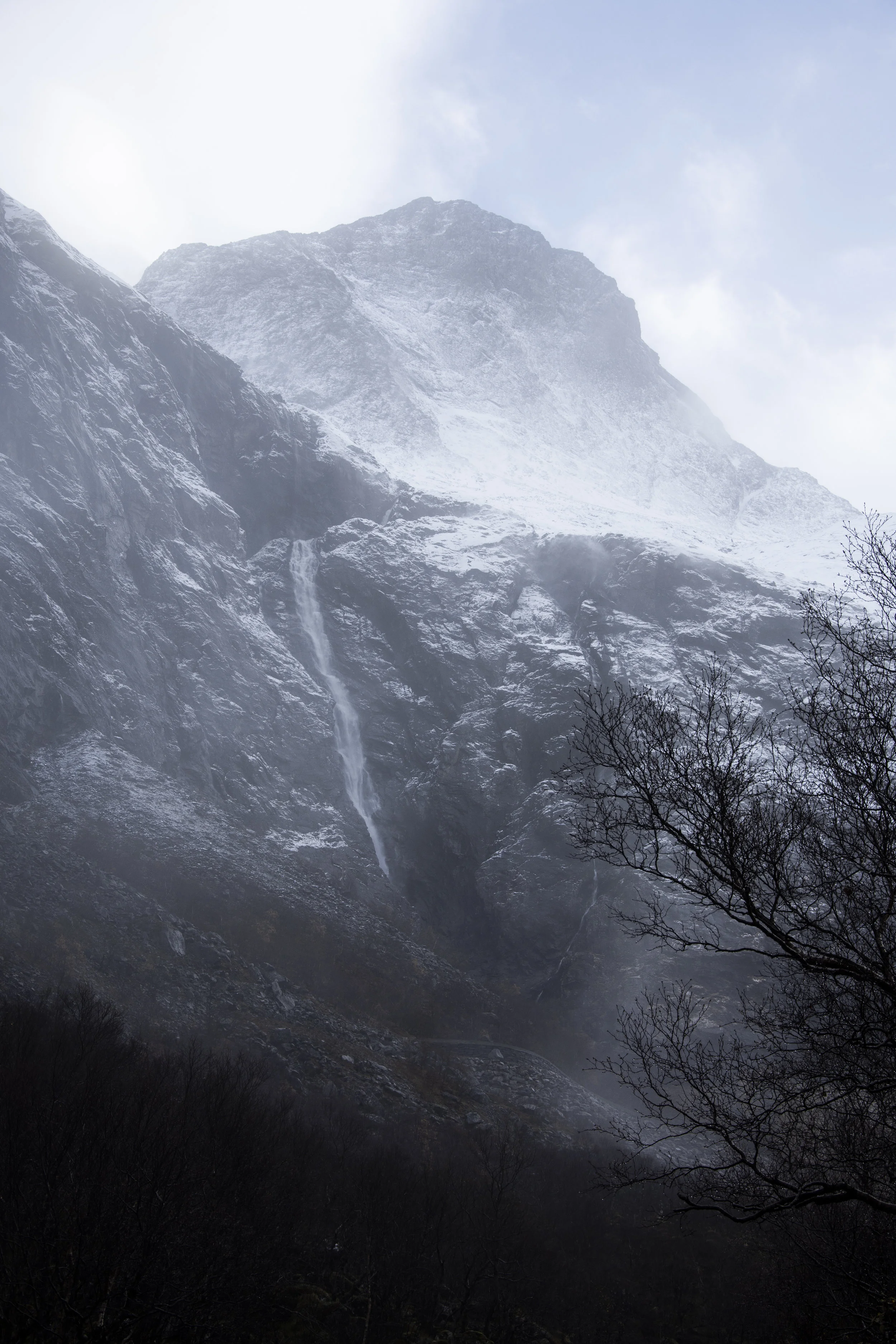DSC_9336.jpg