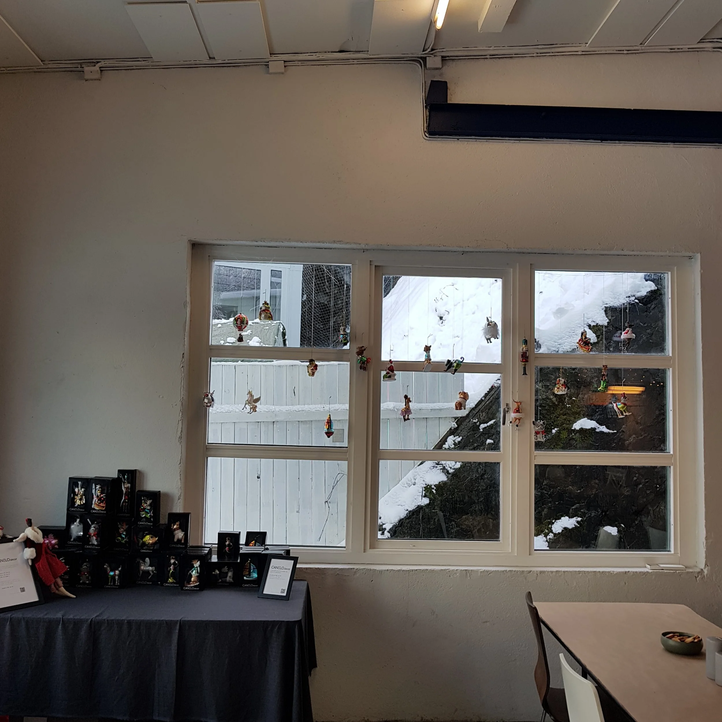 20181208_120123.jpg