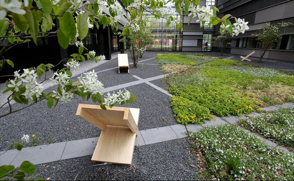 in flower_courtyard.jpg