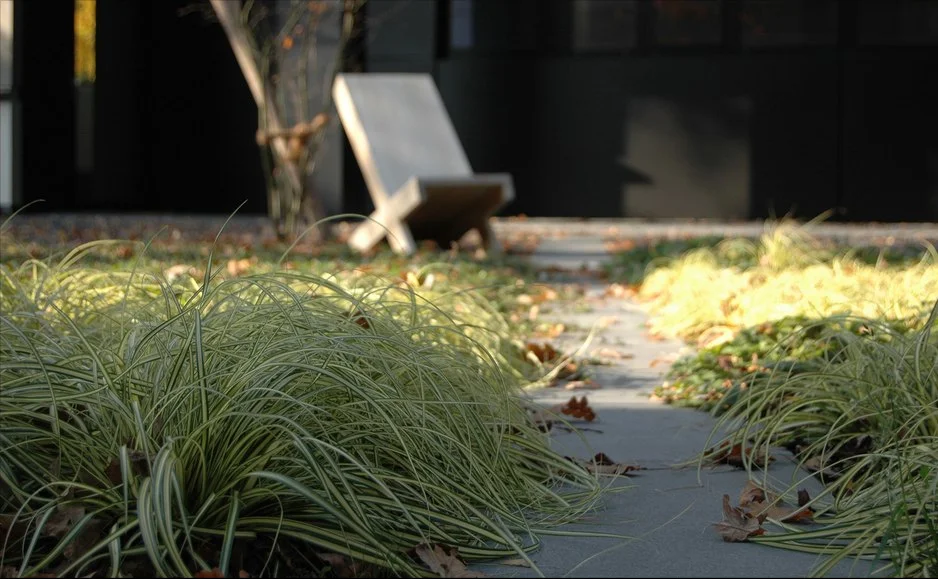 grass detail.jpg