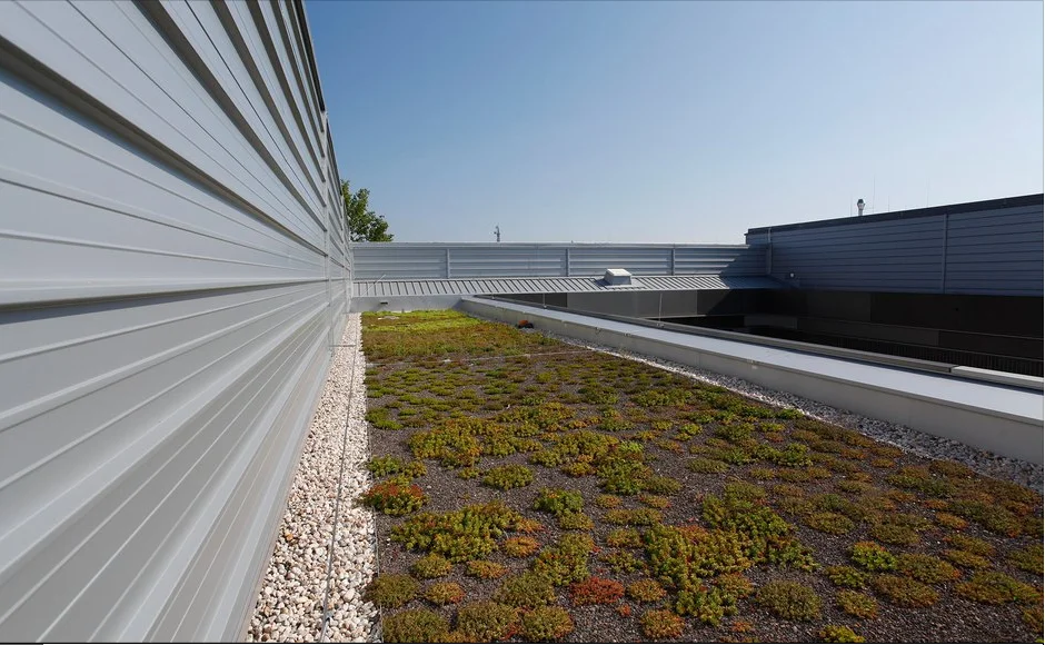 roof_01.jpg