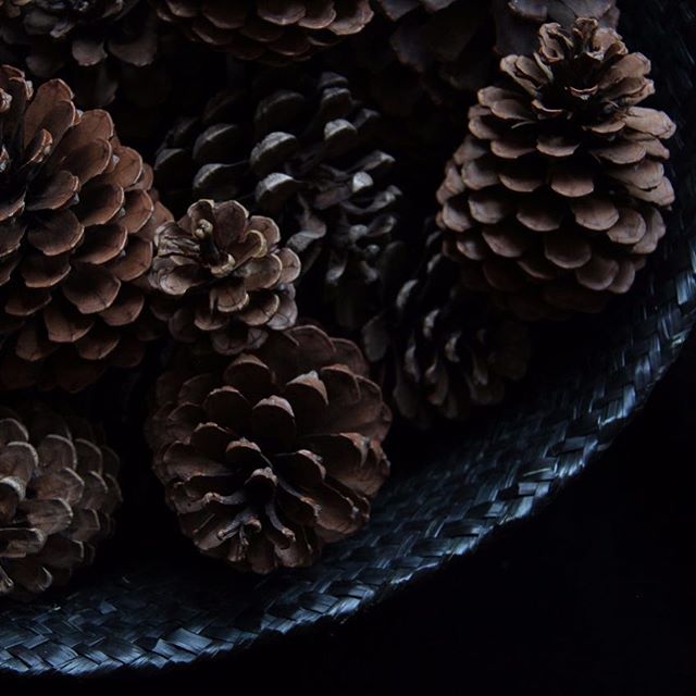 ...rain &amp; clouds in Buenos Aires are bringing a festive christmas mood. The best wintery decoration comes for free in the forest. I love pine cones and they give me the northern hemisphere frosty feeling in summer!!! Happy weekend!!! #pinecones #