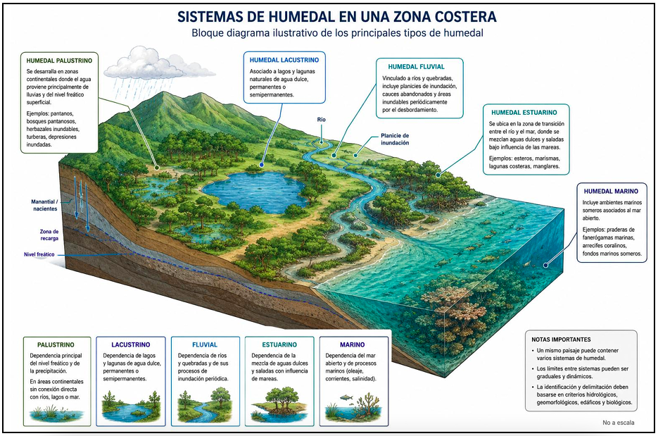 La ciencia detrás de los humedales: cómo fortalecer la protección ambiental y la seguridad jurídica
