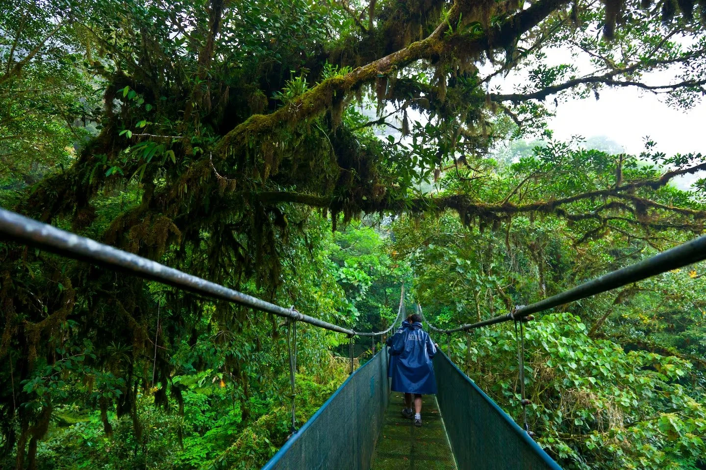 La inversión más estratégica del siglo XXI: restaurar la ecosfera terrestre