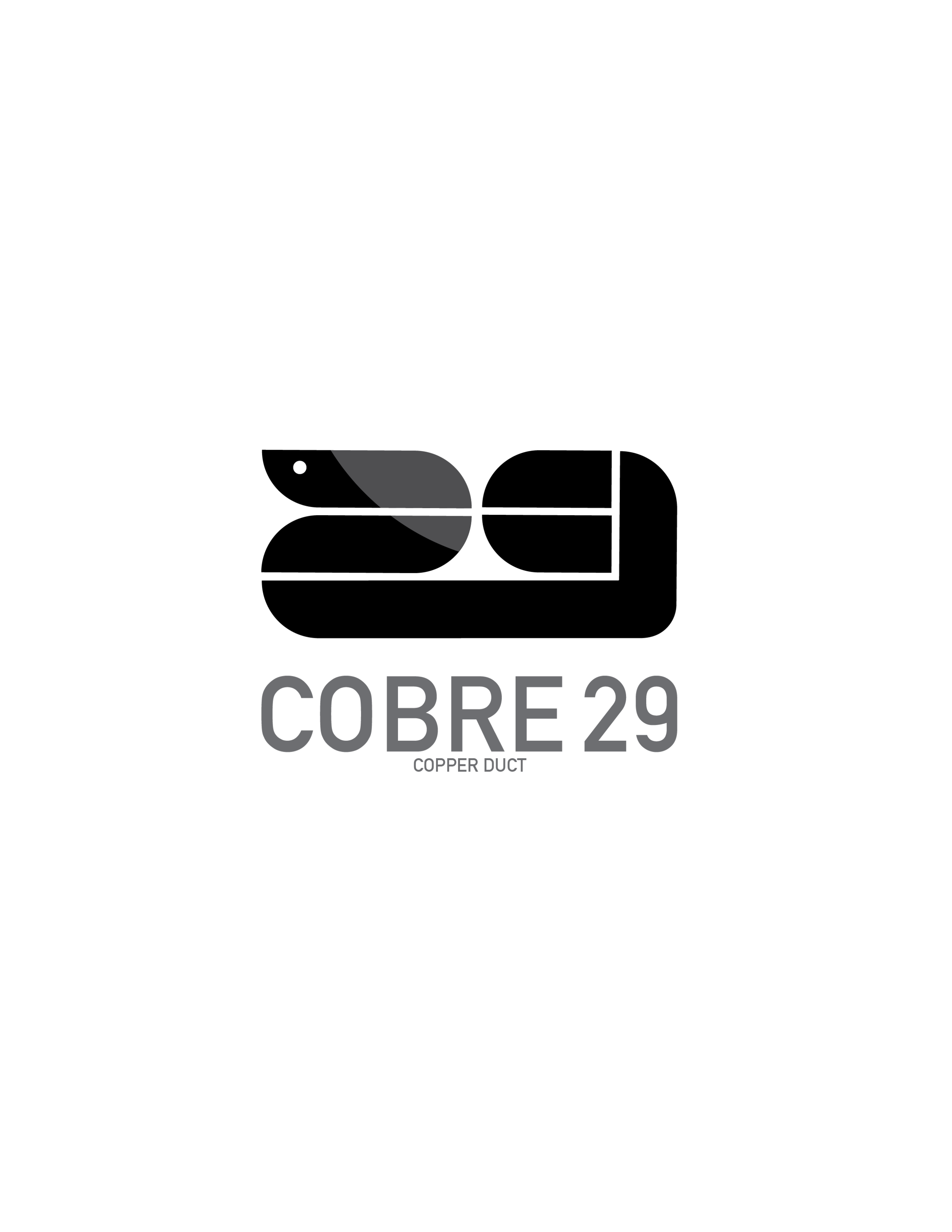 COBRE29_1_3.png