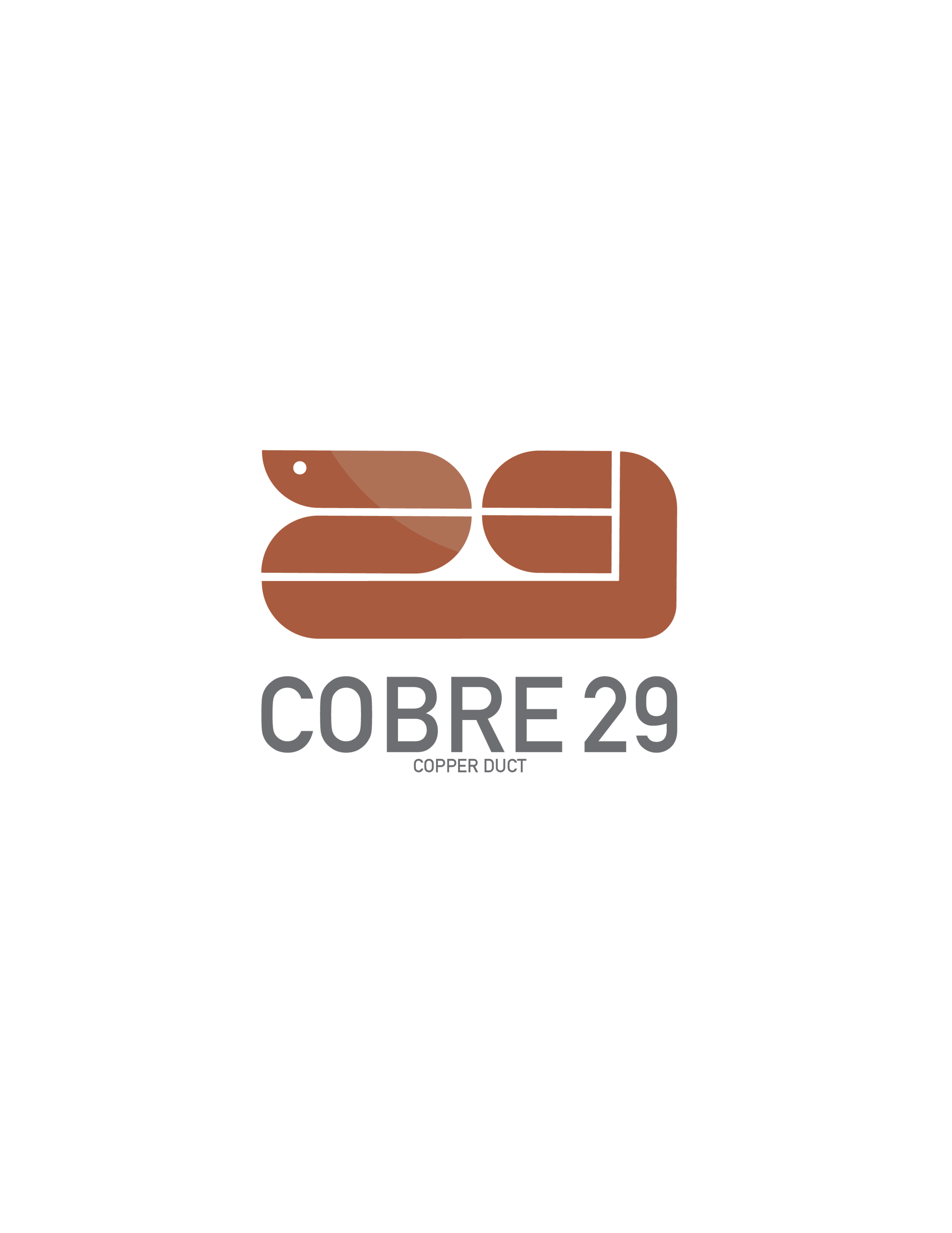 COBRE29_1_1.png