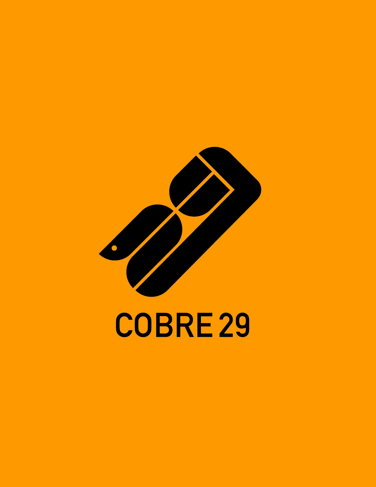 COBRE29_2-02.jpg