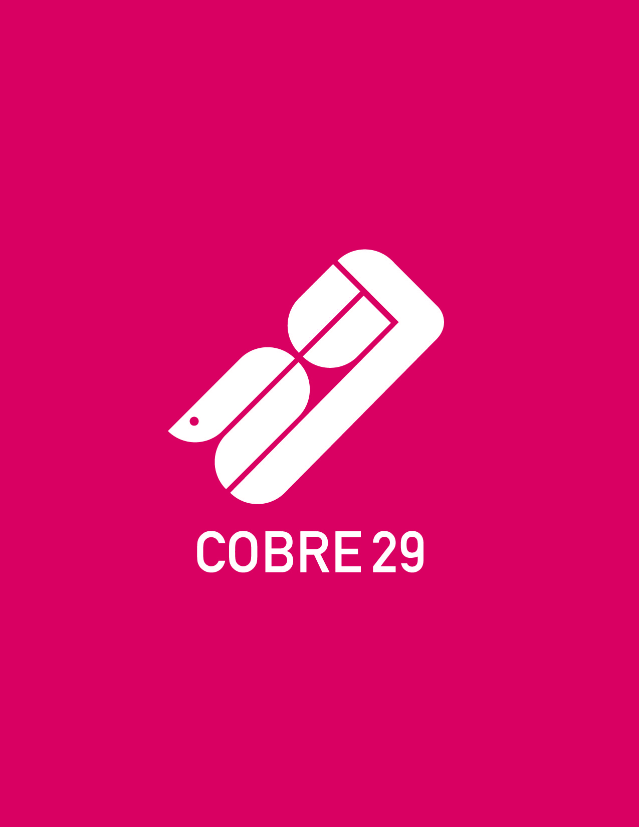 COBRE29_2-05.jpg