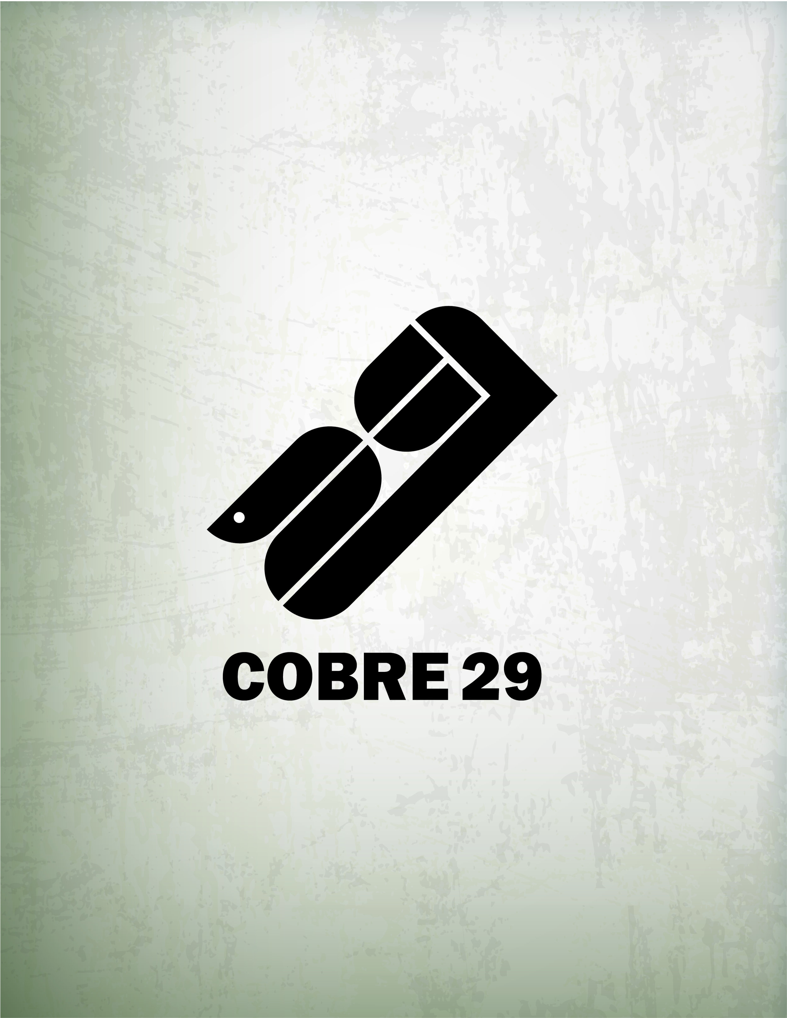 COBRE29_1-02.jpg