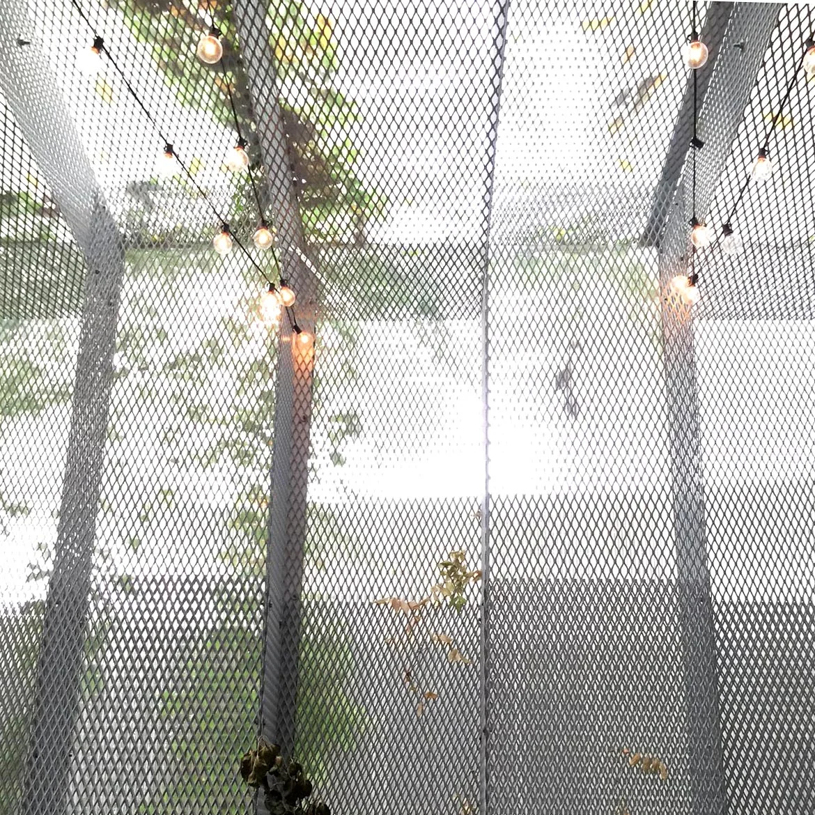   Skin &nbsp; &nbsp;the polycarbonate panels offer ghostly views of the green surroudings 