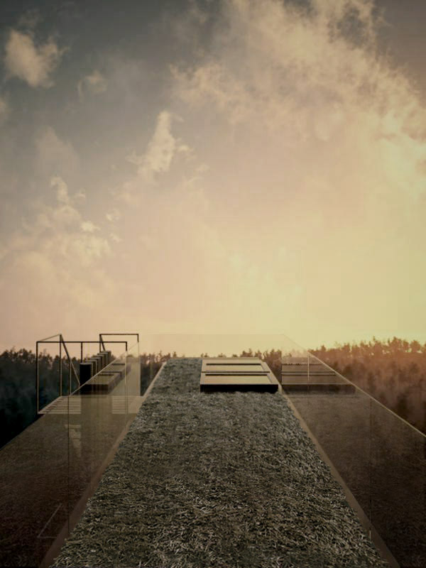 RoofGarden the upper roof garden offers a heightened experience of the natural surroundings, living within the verticality of the forest.