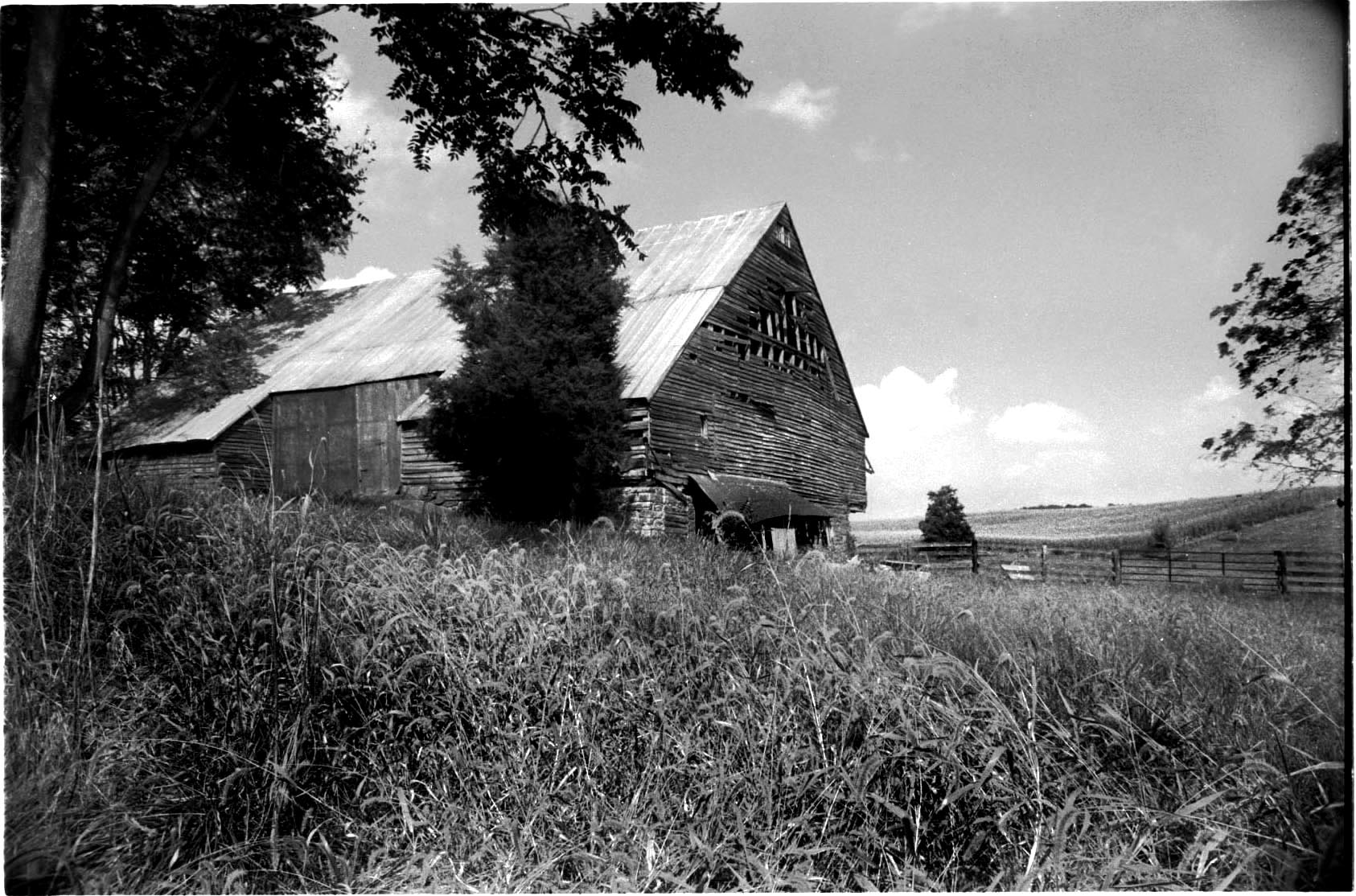   BARN    This project began with the desire to work with an existing artifact of our american heritage and revitalize it by exemplifying the inherent architectural qualities discovered within. This study has been an exploration of light and material