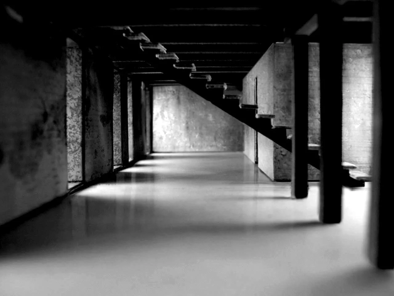   Steel Boxes &nbsp; &nbsp;the soft bending of diffuse light filters through steel boxes. 