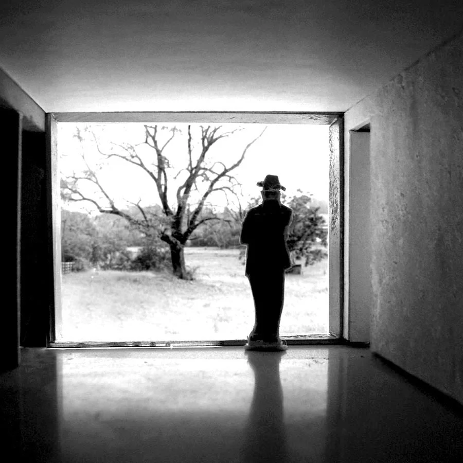   Bedroom &nbsp; &nbsp;the bedroom opens completely to the landscape. 