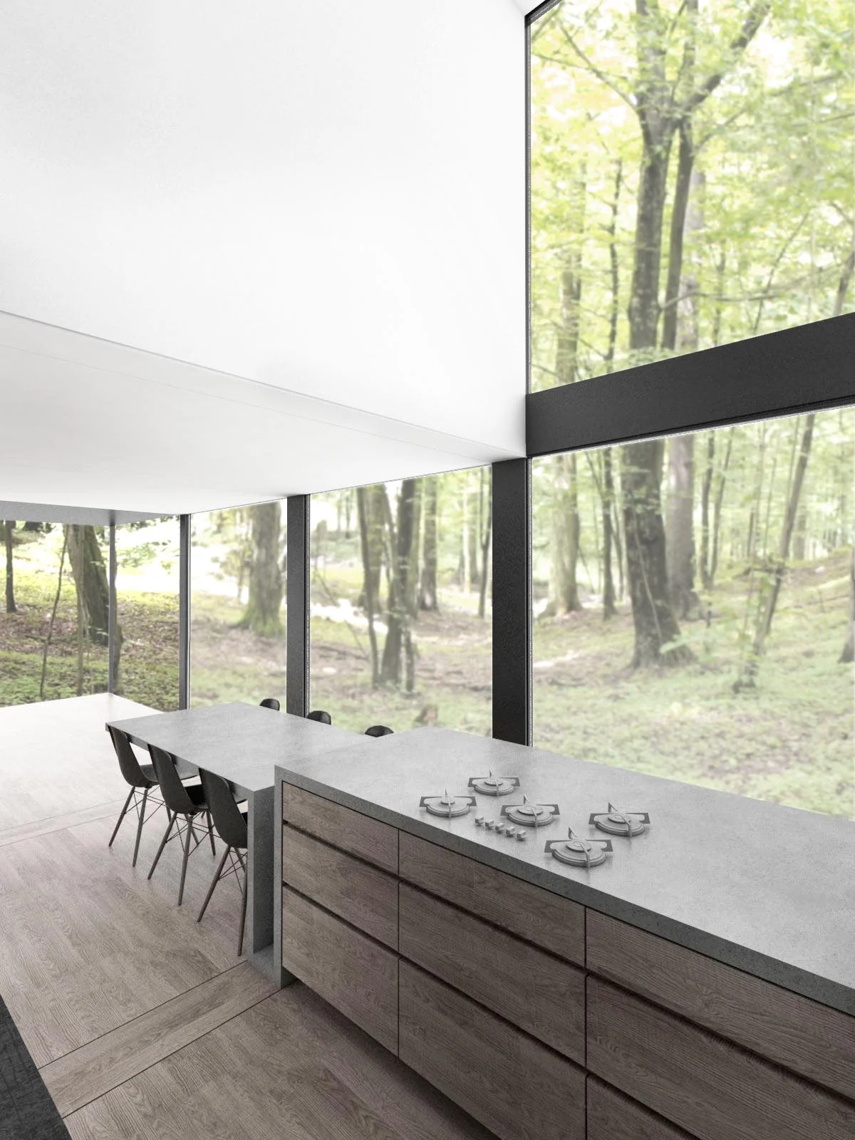   Kitchen &nbsp; the view out of the double height windows captures the verticality of the forest surroundings. 