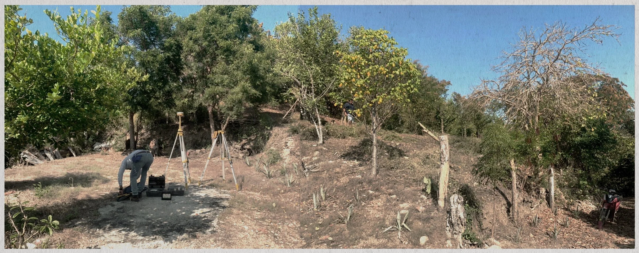   Building Site   surveying and selective clearing 