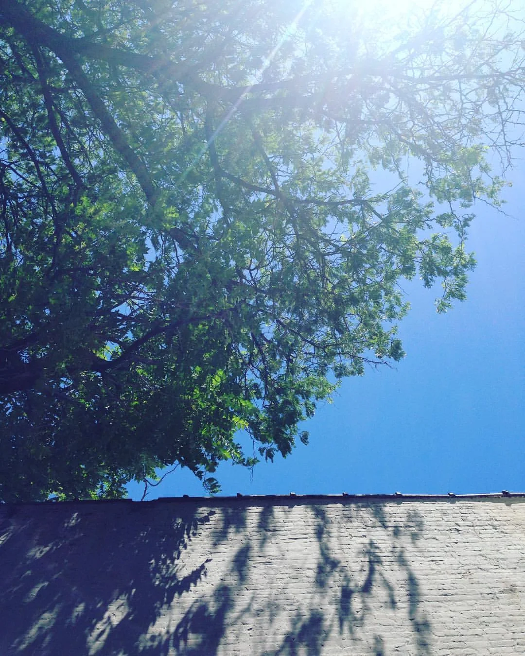 Excited and honored to cover class tonight at my home studio @sacredbrooklyn at 7pm for the great @sacredb70 A heart centered Bhakti flow is on the menu .. So necessary to lift heavy hearts after another barbaric tragedy in the news today. Come reflect divine love and light.
7pm Sacred Brooklyn
#lovewins #onelove (at Sacred Brooklyn)