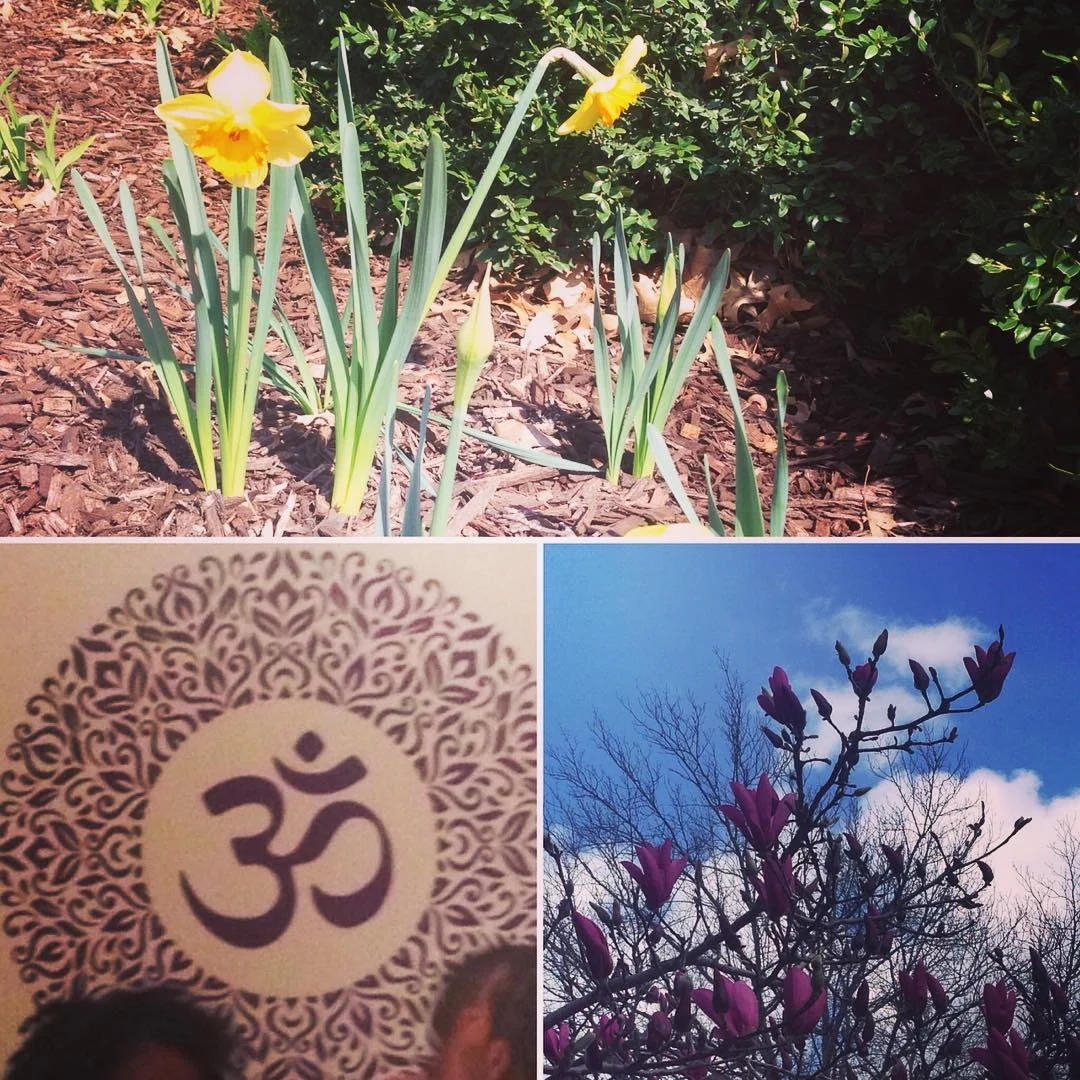 “Sitting quietly, doing nothing, spring comes, and the grass grows by itself.” ~ Zen proverb. New vibes and growth are in the air! So excited to be teaching @stackedyoga Thursdays at 9:30am and Sundays at 12p- Ebb&Flow in Bed Stuy, 405 Thompkins Ave, BK.
AND Wednesdays at 6:15 in Red Hook 382 Hamilton Ave, BK. #community #springfever #yogaforall #alyrosayoga #bedstuy #redhookbrooklyn #onelove (at Brooklyn, New York)