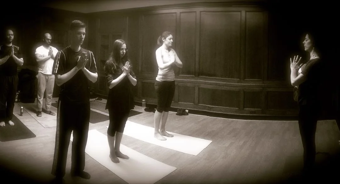 Despite the political & main stream malarkey that promotes divisiveness and differences (as if they were bad), I’m so impressed with my fellow humans for the way in which we embody contrasting dualities. It’s nature. Yoga means to yoke or bring together. Explore this fundamental principle and find harmony in your own oppositional forces. Wednesday at 6:15p, 382 Hamilton Av, BK/NY. #alyrosayoga #yoke #community #redhookbrooklyn #onelove (at Red Hook, Brooklyn)