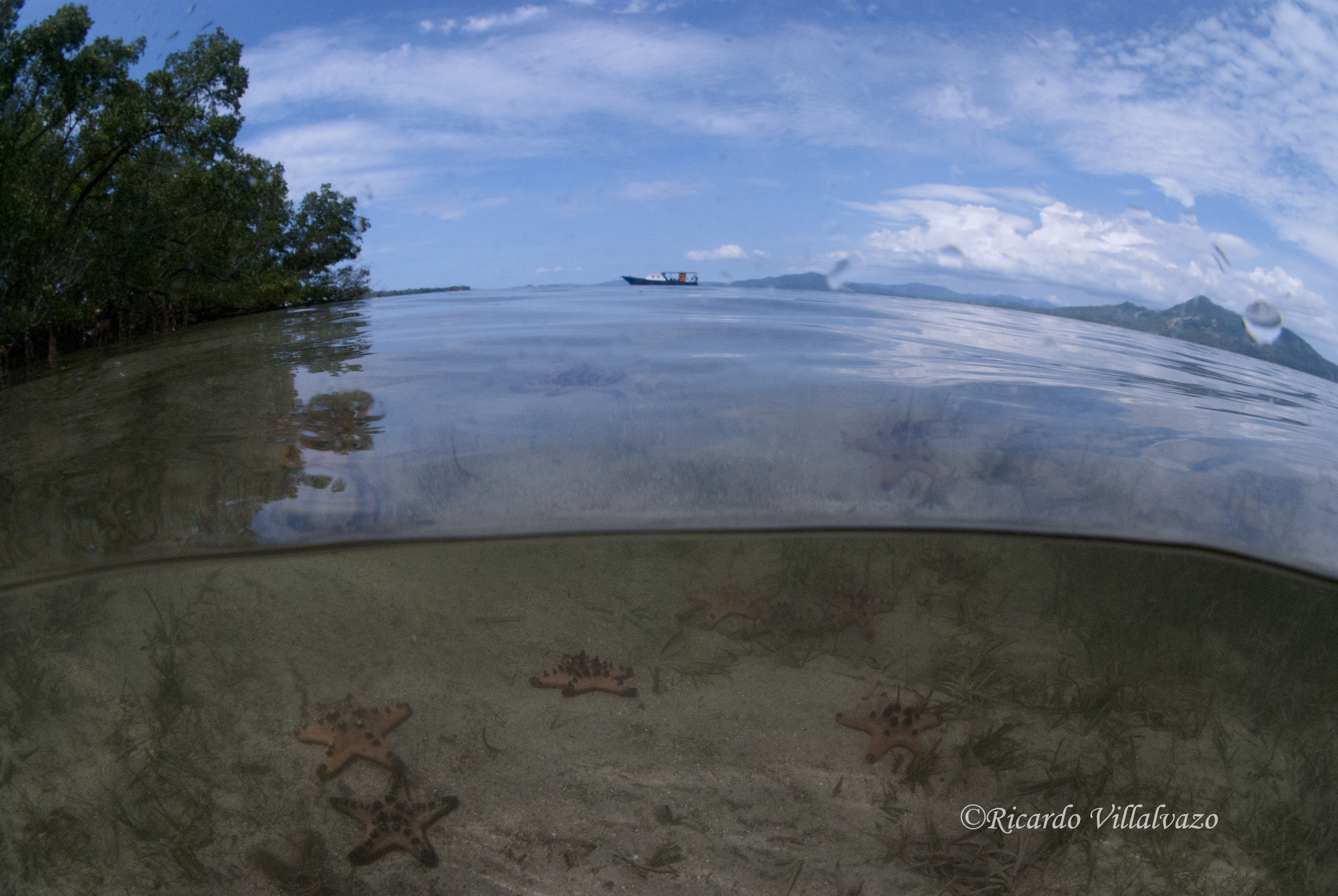 Bunaken 5.jpg